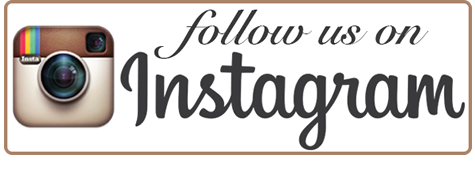 Beggin for Bullies on Instagram